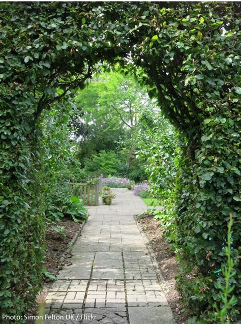 Hidden Garden .